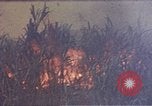 Immagine di Marines Okinawa isole Ryukyu, 1945, secondo 9 filmato di repertorio 65675052787