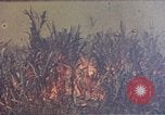 Immagine di Marines Okinawa isole Ryukyu, 1945, secondo 10 filmato di repertorio 65675052787