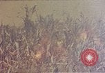 Immagine di Marines Okinawa isole Ryukyu, 1945, secondo 14 filmato di repertorio 65675052787