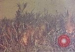 Immagine di Marines Okinawa isole Ryukyu, 1945, secondo 15 filmato di repertorio 65675052787