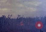 Immagine di Marines Okinawa isole Ryukyu, 1945, secondo 18 filmato di repertorio 65675052787