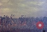 Immagine di Marines Okinawa isole Ryukyu, 1945, secondo 20 filmato di repertorio 65675052787