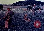 Immagine di Marines Okinawa isole Ryukyu, 1945, secondo 24 filmato di repertorio 65675052787