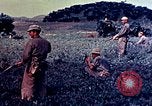 Immagine di Marines Okinawa isole Ryukyu, 1945, secondo 25 filmato di repertorio 65675052787