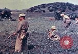 Immagine di Marines Okinawa isole Ryukyu, 1945, secondo 27 filmato di repertorio 65675052787