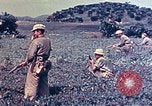Immagine di Marines Okinawa isole Ryukyu, 1945, secondo 28 filmato di repertorio 65675052787