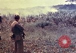 Immagine di Marines Okinawa isole Ryukyu, 1945, secondo 30 filmato di repertorio 65675052787