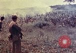 Immagine di Marines Okinawa isole Ryukyu, 1945, secondo 31 filmato di repertorio 65675052787