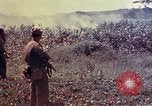 Immagine di Marines Okinawa isole Ryukyu, 1945, secondo 33 filmato di repertorio 65675052787