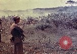 Immagine di Marines Okinawa isole Ryukyu, 1945, secondo 36 filmato di repertorio 65675052787