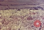 Immagine di Marines Okinawa isole Ryukyu, 1945, secondo 52 filmato di repertorio 65675052787