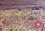 Immagine di Marines Okinawa isole Ryukyu, 1945, secondo 53 filmato di repertorio 65675052787