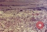 Immagine di Marines Okinawa isole Ryukyu, 1945, secondo 54 filmato di repertorio 65675052787