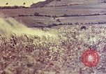 Immagine di Marines Okinawa isole Ryukyu, 1945, secondo 61 filmato di repertorio 65675052787