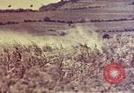 Immagine di Marines Okinawa isole Ryukyu, 1945, secondo 62 filmato di repertorio 65675052787