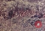 Image of United States Marines Okinawa Ryukyu Islands, 1945, second 29 stock footage video 65675052788