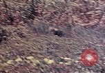 Image of United States Marines Okinawa Ryukyu Islands, 1945, second 30 stock footage video 65675052788