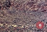 Image of United States Marines Okinawa Ryukyu Islands, 1945, second 31 stock footage video 65675052788