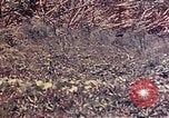 Image of United States Marines Okinawa Ryukyu Islands, 1945, second 32 stock footage video 65675052788