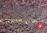 Image of United States Marines Okinawa Ryukyu Islands, 1945, second 33 stock footage video 65675052788