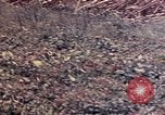 Image of United States Marines Okinawa Ryukyu Islands, 1945, second 34 stock footage video 65675052788