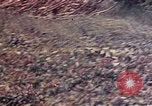 Image of United States Marines Okinawa Ryukyu Islands, 1945, second 35 stock footage video 65675052788