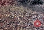 Image of United States Marines Okinawa Ryukyu Islands, 1945, second 36 stock footage video 65675052788