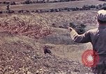 Image of United States Marines Okinawa Ryukyu Islands, 1945, second 46 stock footage video 65675052788
