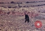 Image of United States Marines Okinawa Ryukyu Islands, 1945, second 51 stock footage video 65675052788
