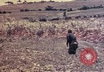 Image of United States Marines Okinawa Ryukyu Islands, 1945, second 55 stock footage video 65675052788