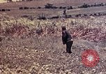 Image of United States Marines Okinawa Ryukyu Islands, 1945, second 57 stock footage video 65675052788