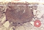 Image of United States Marines Okinawa Ryukyu Islands, 1945, second 1 stock footage video 65675052803
