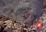 Image of United States Marines Okinawa Ryukyu Islands, 1945, second 27 stock footage video 65675052806