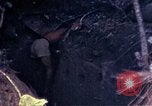 Image of United States Marines Okinawa Ryukyu Islands, 1945, second 57 stock footage video 65675052806