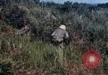 Image 6e Régiment Maritime 22e Marines Okinawa îles Ryukyu, 1945, de la seconde 55 séquences d'archives historiques vidéo 65675052807