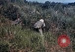 Image 6e Régiment Maritime 22e Marines Okinawa îles Ryukyu, 1945, de la seconde 56 séquences d'archives historiques vidéo 65675052807