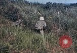 Image 6e Régiment Maritime 22e Marines Okinawa îles Ryukyu, 1945, de la seconde 57 séquences d'archives historiques vidéo 65675052807