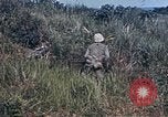 Image 6e Régiment Maritime 22e Marines Okinawa îles Ryukyu, 1945, de la seconde 58 séquences d'archives historiques vidéo 65675052807