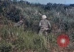 Image 6e Régiment Maritime 22e Marines Okinawa îles Ryukyu, 1945, de la seconde 59 séquences d'archives historiques vidéo 65675052807