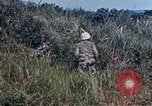 Image 6e Régiment Maritime 22e Marines Okinawa îles Ryukyu, 1945, de la seconde 60 séquences d'archives historiques vidéo 65675052807