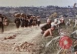 Image of 6th Marine Regiment 22nd Marines Okinawa Ryukyu Islands, 1945, second 34 stock footage video 65675052808