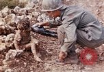 Image of 6th Marine Regiment 22nd Marines Okinawa Ryukyu Islands, 1945, second 7 stock footage video 65675052811