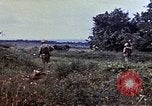 Image of M4A2 tanks Okinawa Ryukyu Islands, 1945, second 9 stock footage video 65675052812