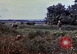 Image of M4A2 tanks Okinawa Ryukyu Islands, 1945, second 12 stock footage video 65675052812