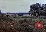 Image of M4A2 tanks Okinawa Ryukyu Islands, 1945, second 14 stock footage video 65675052812