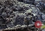 Image of 6th Marine Regiment 22nd Marines Okinawa Ryukyu Islands, 1945, second 52 stock footage video 65675052814