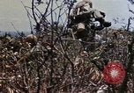 Image of 6th Marine Regiment 22nd Marines Okinawa Ryukyu Islands, 1945, second 21 stock footage video 65675052815