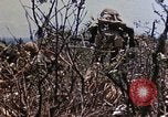 Image of 6th Marine Regiment 22nd Marines Okinawa Ryukyu Islands, 1945, second 22 stock footage video 65675052815