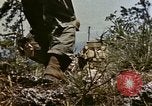 Image of 6th Marine Regiment 22nd Marines Okinawa Ryukyu Islands, 1945, second 25 stock footage video 65675052815