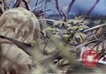 Image of 6th Marine Regiment 22nd Marines Okinawa Ryukyu Islands, 1945, second 43 stock footage video 65675052815